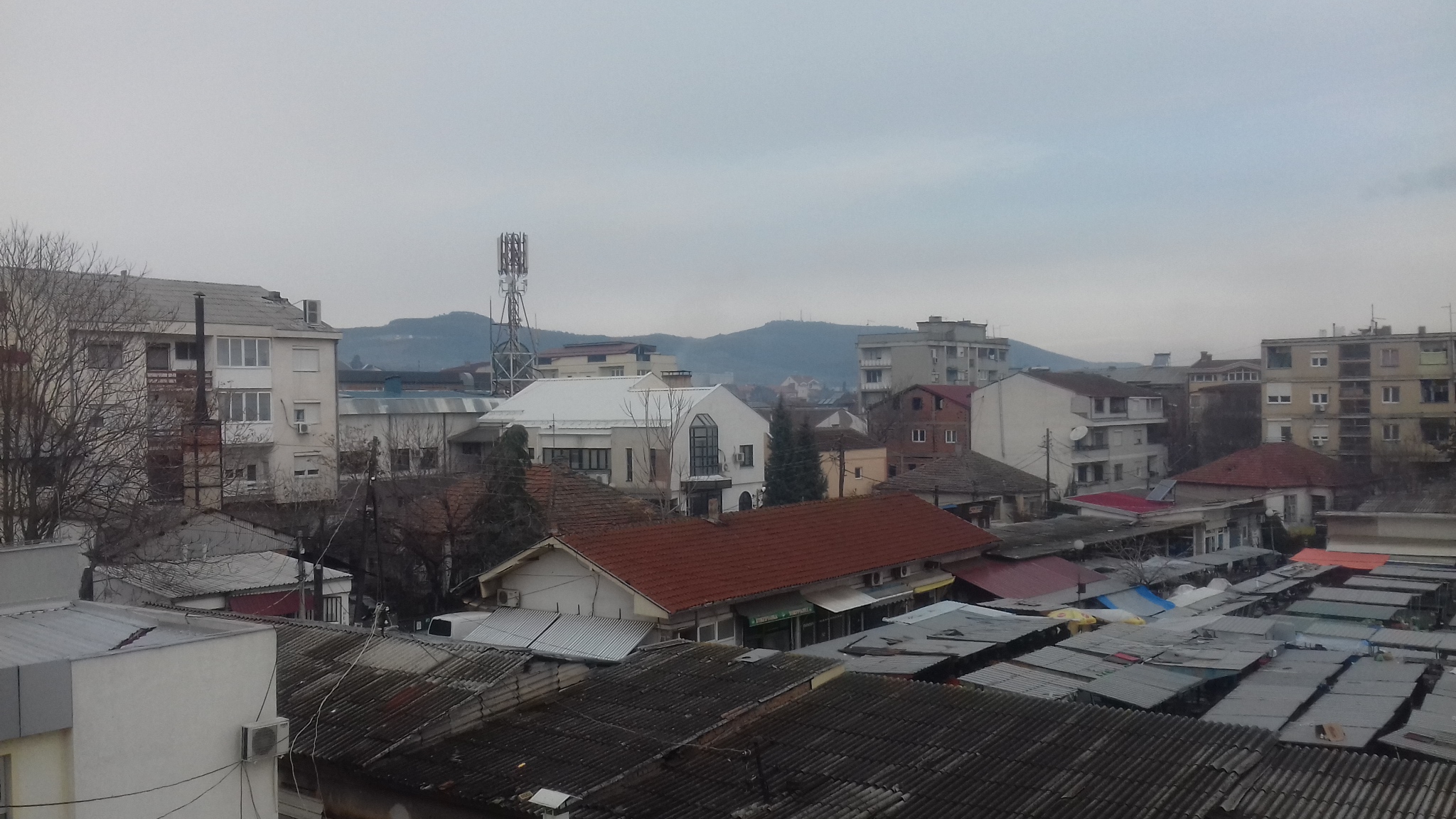 20190123_100616.jpg